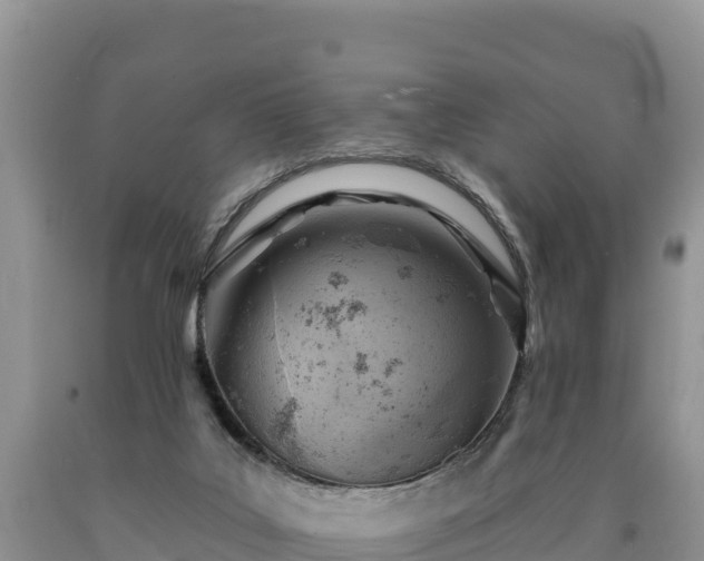 X0000090630019200707241203