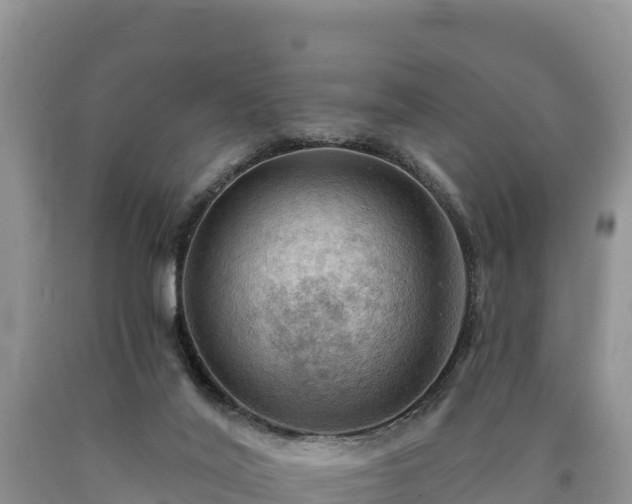 X0000090630020200707241203