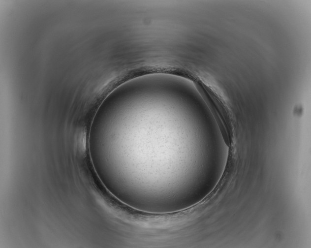 X0000090630021200707241203