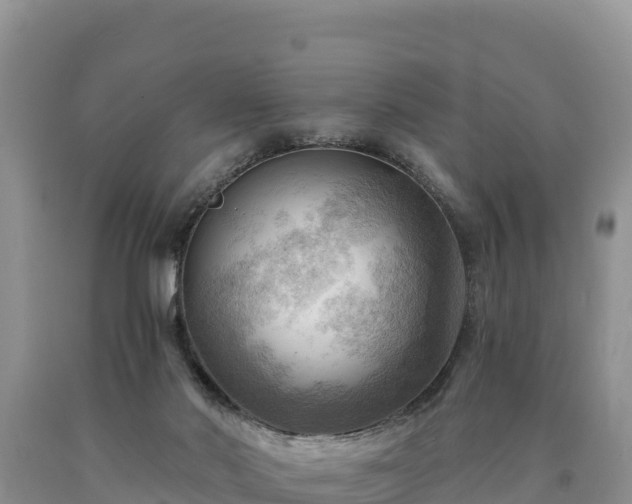 X0000090630022200707241203