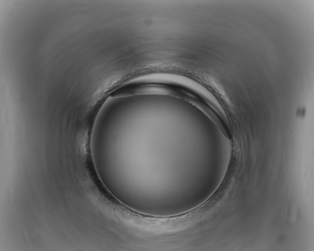X0000090630023200707241203