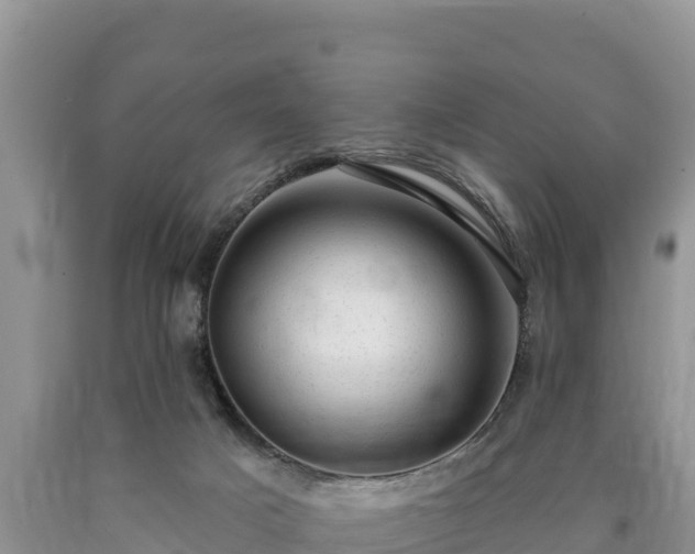 X0000090630025200707241203