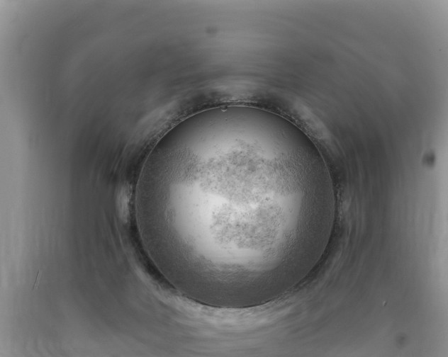 X0000090630026200707241203