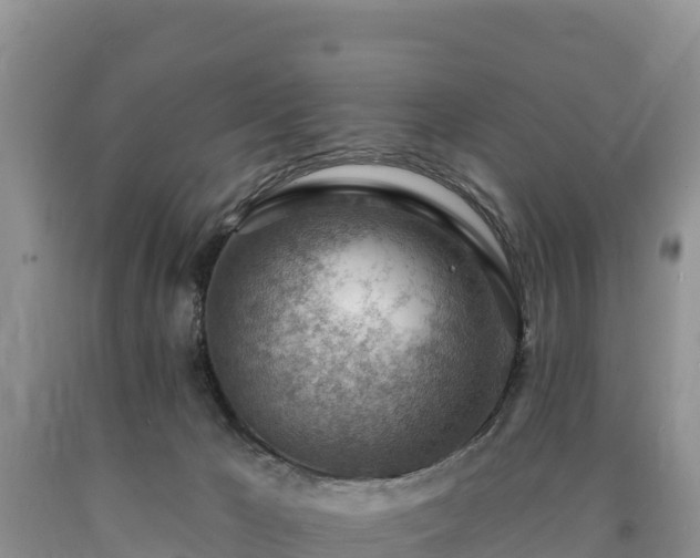 X0000090630029200707241203