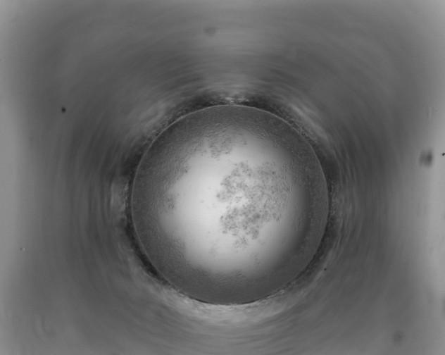 X0000090630030200707241203