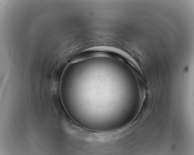 X0000090630033200707241203