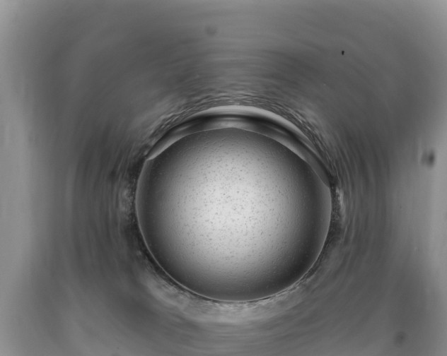 X0000090630037200707241202