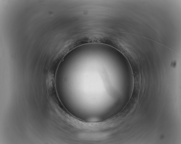 X0000090630038200707241202