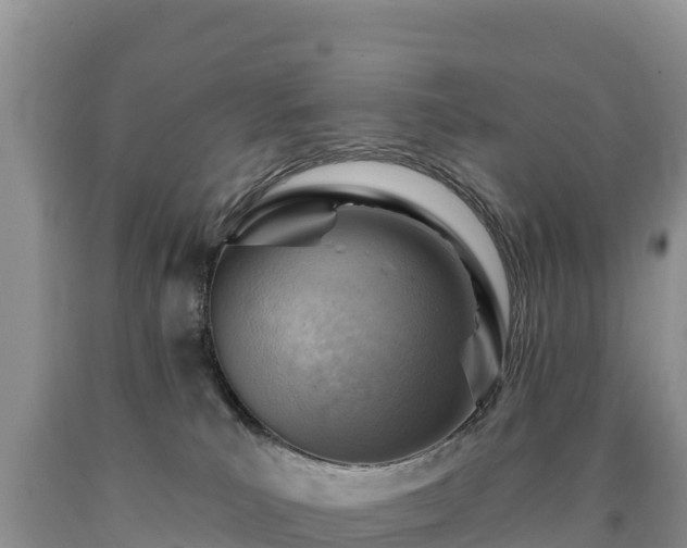 X0000090630039200707241202