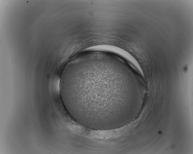 X0000090630041200707241202