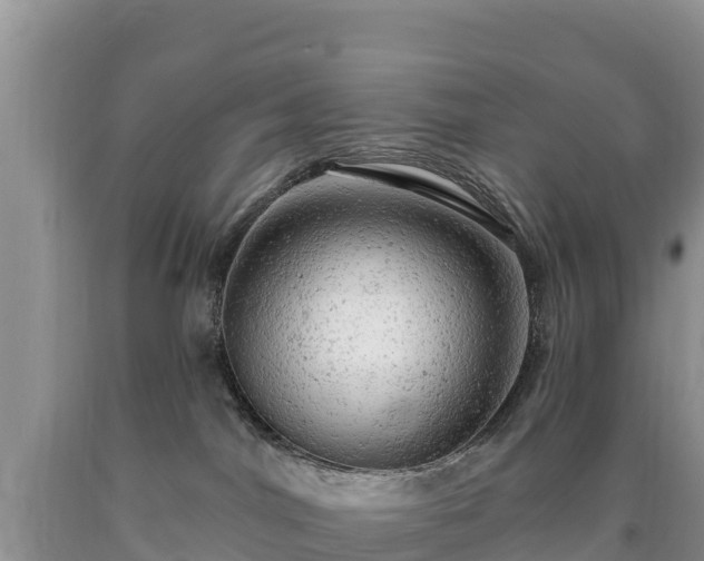 X0000090630044200707241202