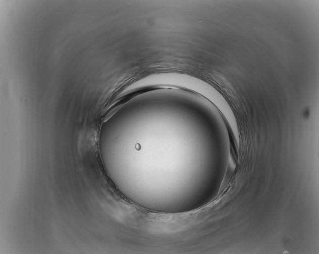 X0000090630045200707241202