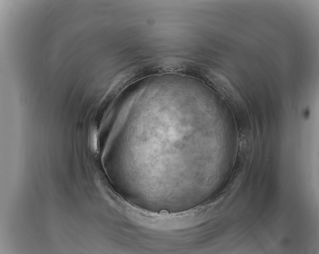 X0000090630046200707241202