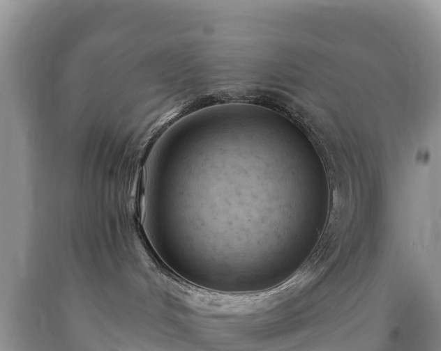 X0000090630048200707241202