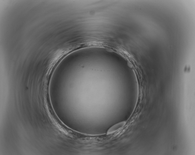 X0000090630049200707241202
