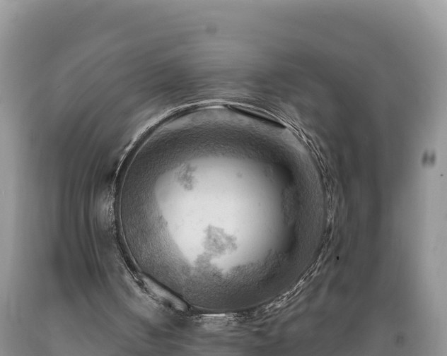 X0000090630050200707241202