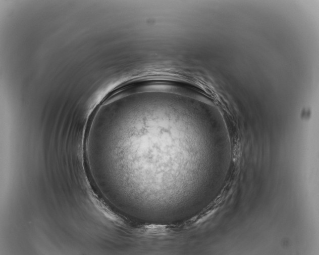 X0000090630052200707241202