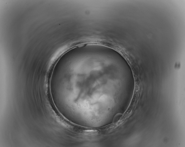 X0000090630053200707241202