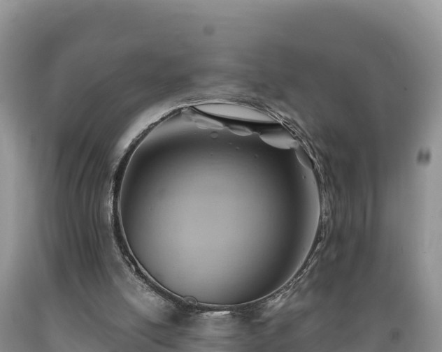 X0000090630054200707241202