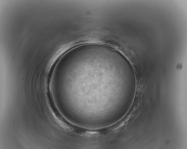 X0000090630055200707241202