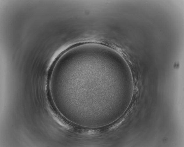 X0000090630056200707241202