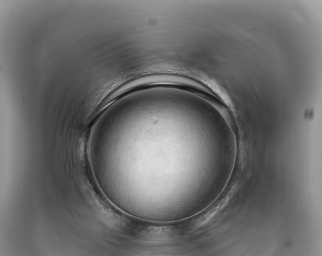 X0000090630057200707241202