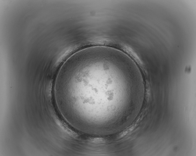 X0000090630058200707241202