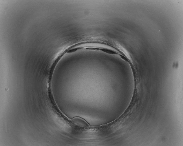 X0000090630059200707241202