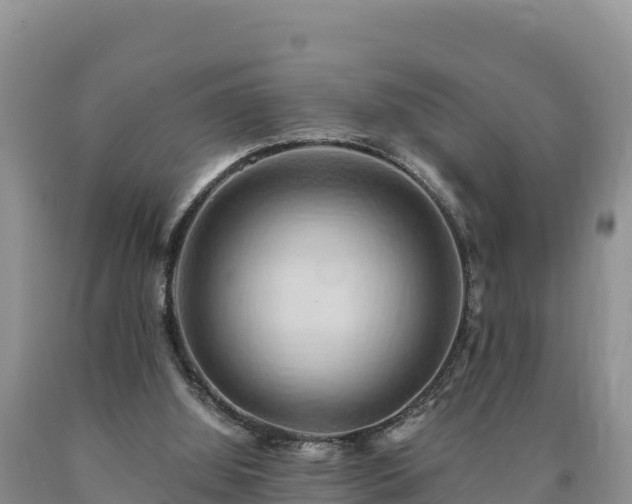 X0000090630060200707241202