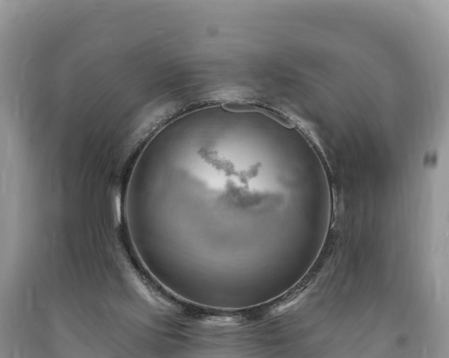X0000090630061200707241202
