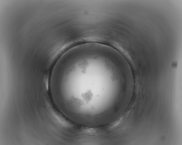 X0000090630062200707241202