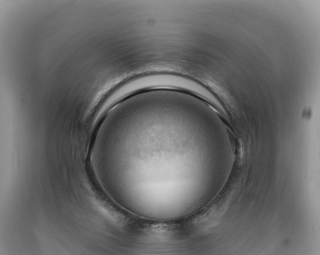 X0000090630064200707241202