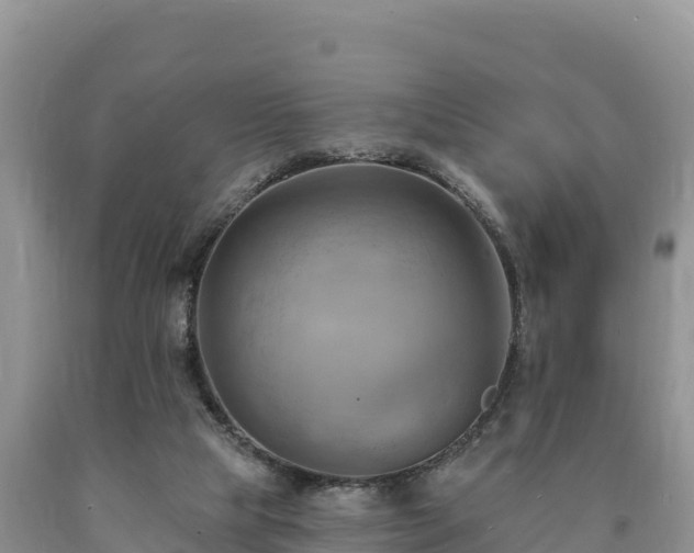 X0000090630065200707241202
