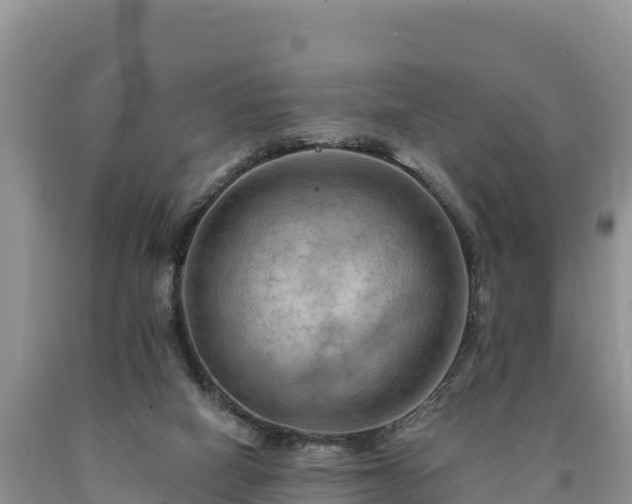 X0000090630066200707241202