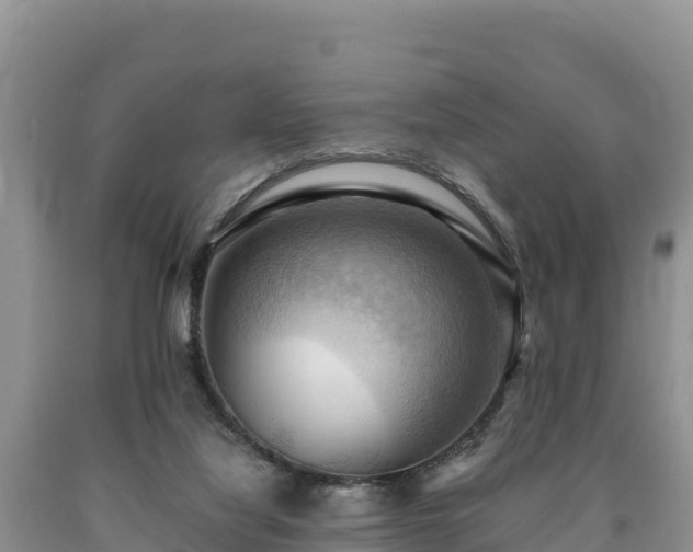 X0000090630068200707241202