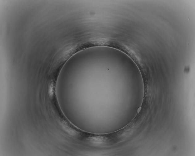 X0000090630069200707241202