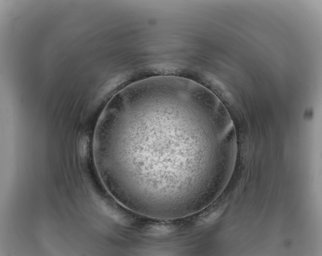 X0000090630071200707241202