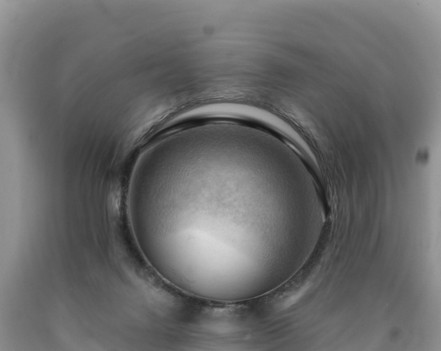 X0000090630072200707241202