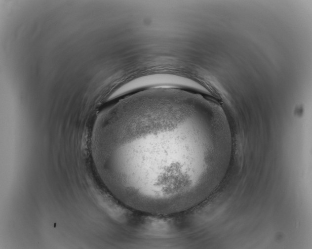 X0000090630073200707241202