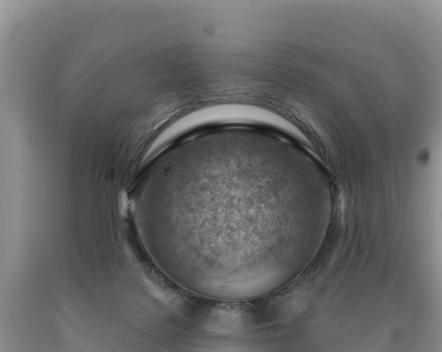 X0000090630076200707241202