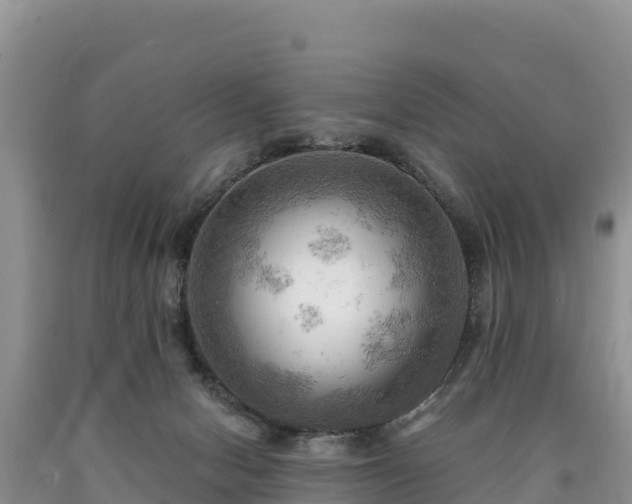 X0000090630078200707241202
