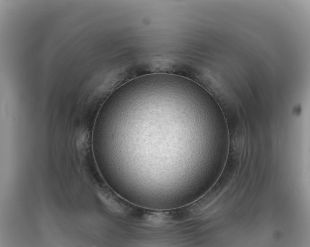 X0000090630079200707241202