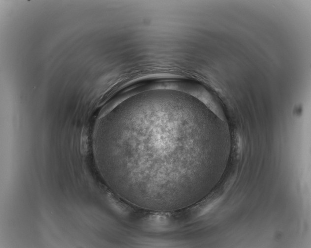 X0000090630080200707241202