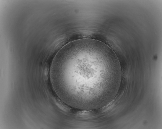 X0000090630082200707241202