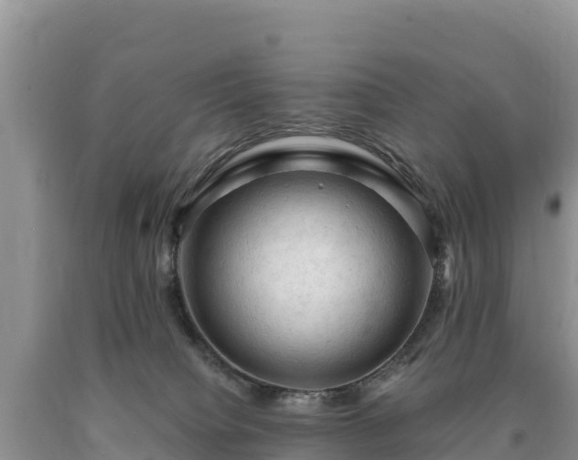 X0000090630084200707241202