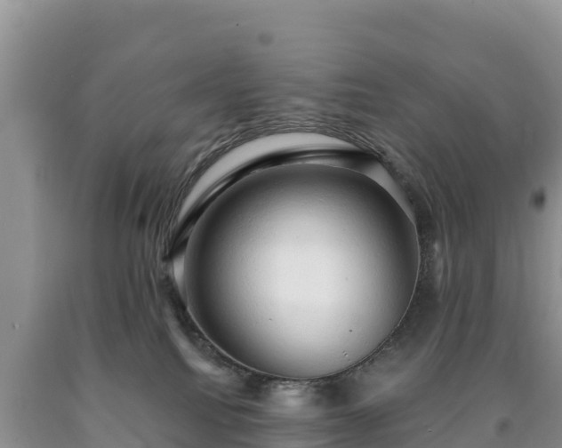 X0000090630088200707241202