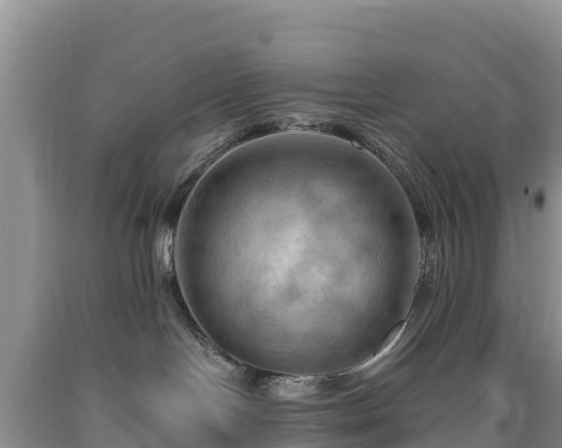 X0000090630094200707241202