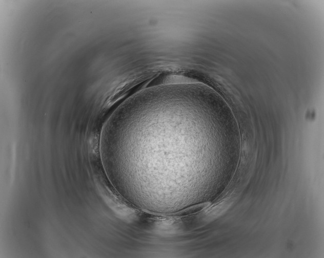 X0000090630096200707241202
