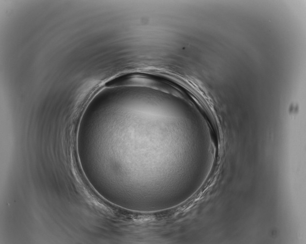 X0000090630097200707241202
