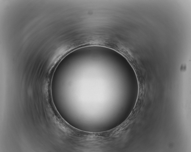 X0000090630098200707241202